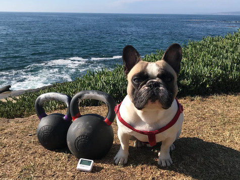 Essential Guide to Kettlebells